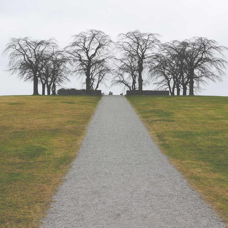 Signature Collection